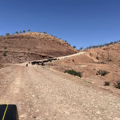 Voyage Jeep au Maroc