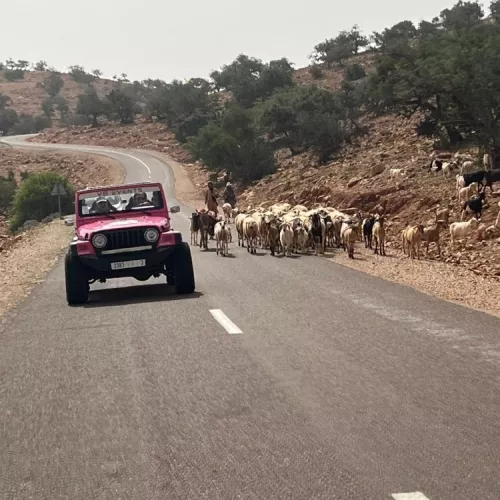 Voyage Jeep au Maroc
