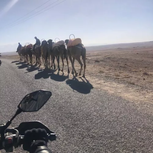 Voyage avec votre moto au Maroc